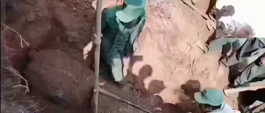 缅甸僵尸事件🍉