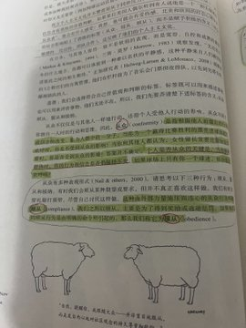 强推一本书，戴维迈尔斯的《社会心理学》，全书700页，刚开始读的时候想给书里画画重点，发现知识密度大到几乎每一句都是重点，